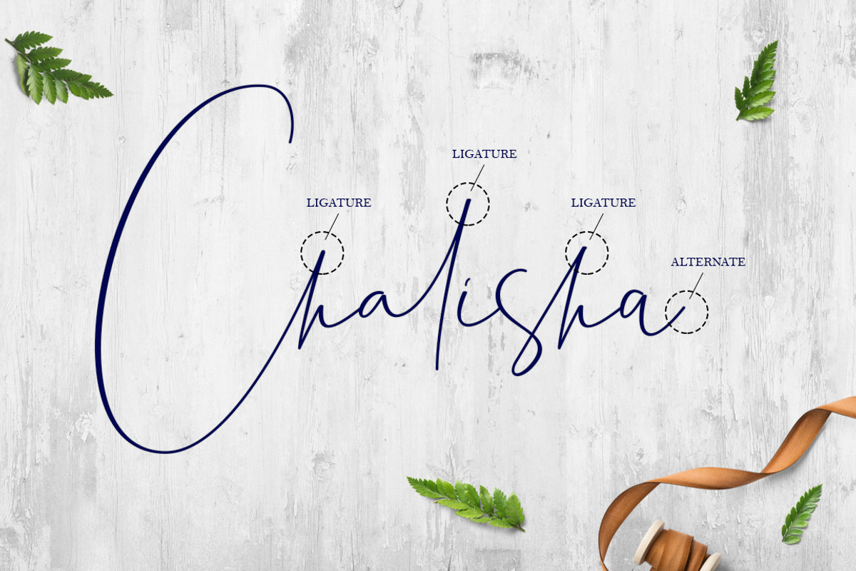 Chalisha Modern Calligraphy preview 8