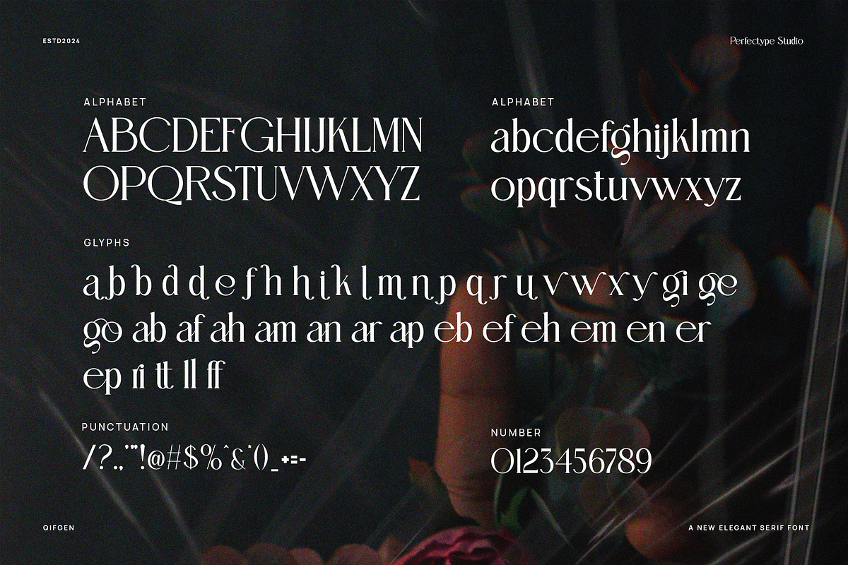 Qifgen Modern Serif Font, a Serif Font by Perfectype (Photo 8 of 8)