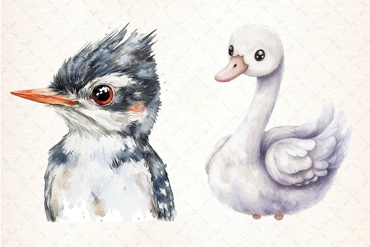 Funny bird Clipart Bundle, an Illustration by DreamCafeArt (Photo 3 of 5)