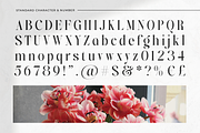 Bridens - Modern Serif Display, a Serif Font by Qweera Studio (Thumbnail 8 of 10)