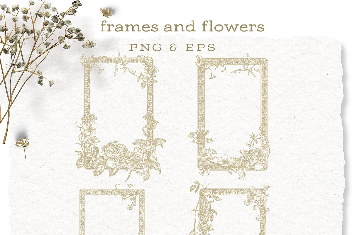 Ornamental Frames & Flowers, a Decorative Illustration by BlumenSoul (Photo 4 of 12)