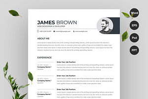 Clean Resume/CV