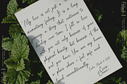 Palisade | Handwritten, a Handwritten Font by Aveni Letter Type (Thumbnail 14 of 15)