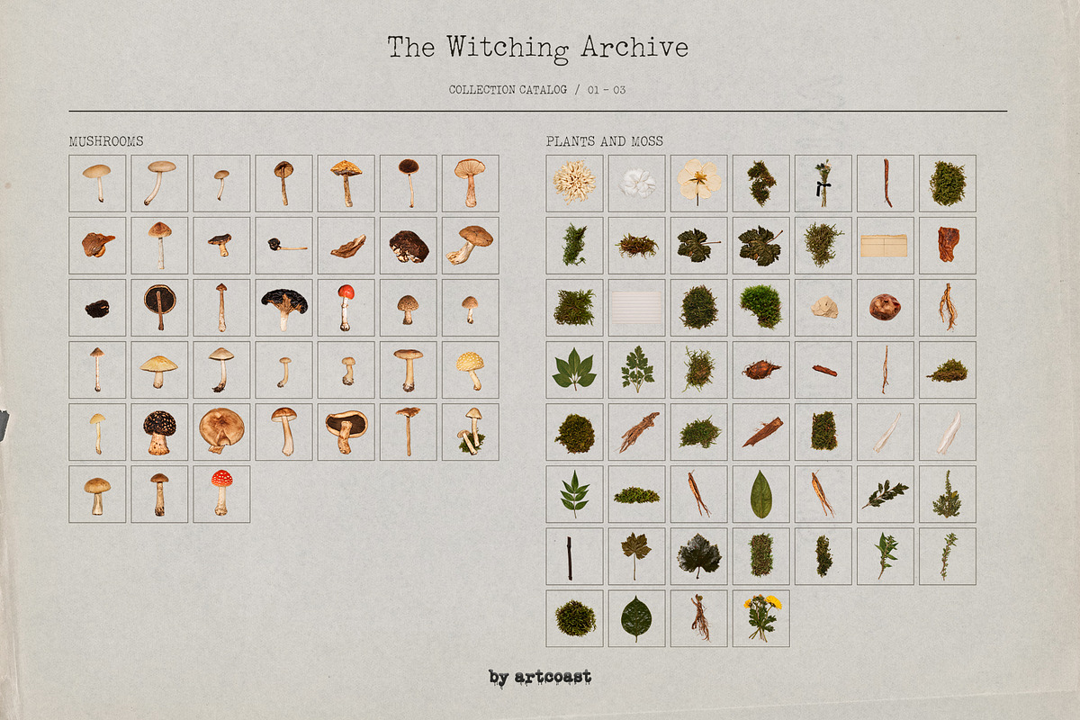 The Witching Archive, an Object Graphic by nadispasibenko (Photo 10 of 10)