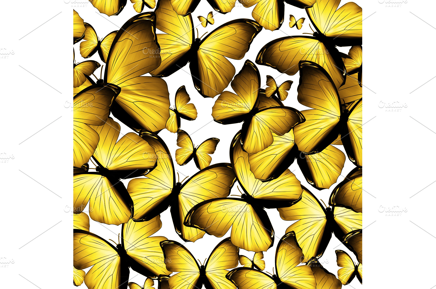 butterflies, an Animal Photo by BazziBa♥