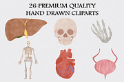 Watercolor Human Anatomy Clipart Set, an Illustration by CropUp Creative (Thumbnail 2 of 4)