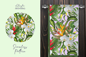 Tropical Orchids Flower Set