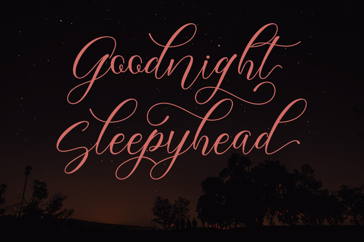 Brinkley, a Script Font by Rotterlab Studio (Photo 5 of 8)