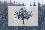 Winter Botanicals Clipart, a Seasonal Illustration by RaDavCrafts (Thumbnail 2 of 12)