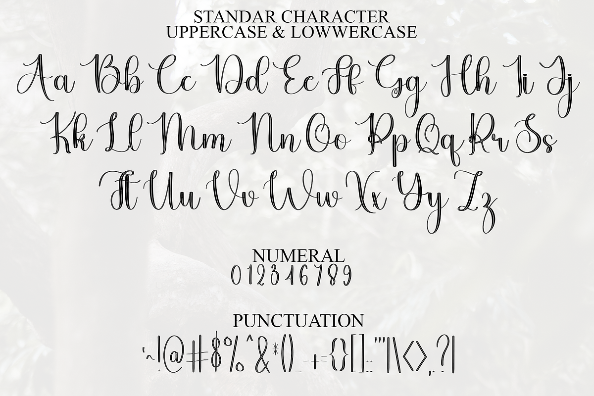 Delight Autography, a Handwritten Font by FreshTypeINK (Photo 2 of 8)