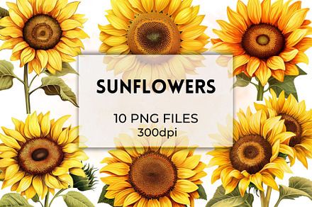 Sunflower Clipart Collection