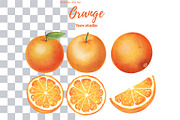 Orange clipart, a Decorative Illustration by 7nov.studio (Thumbnail 2 of 6)