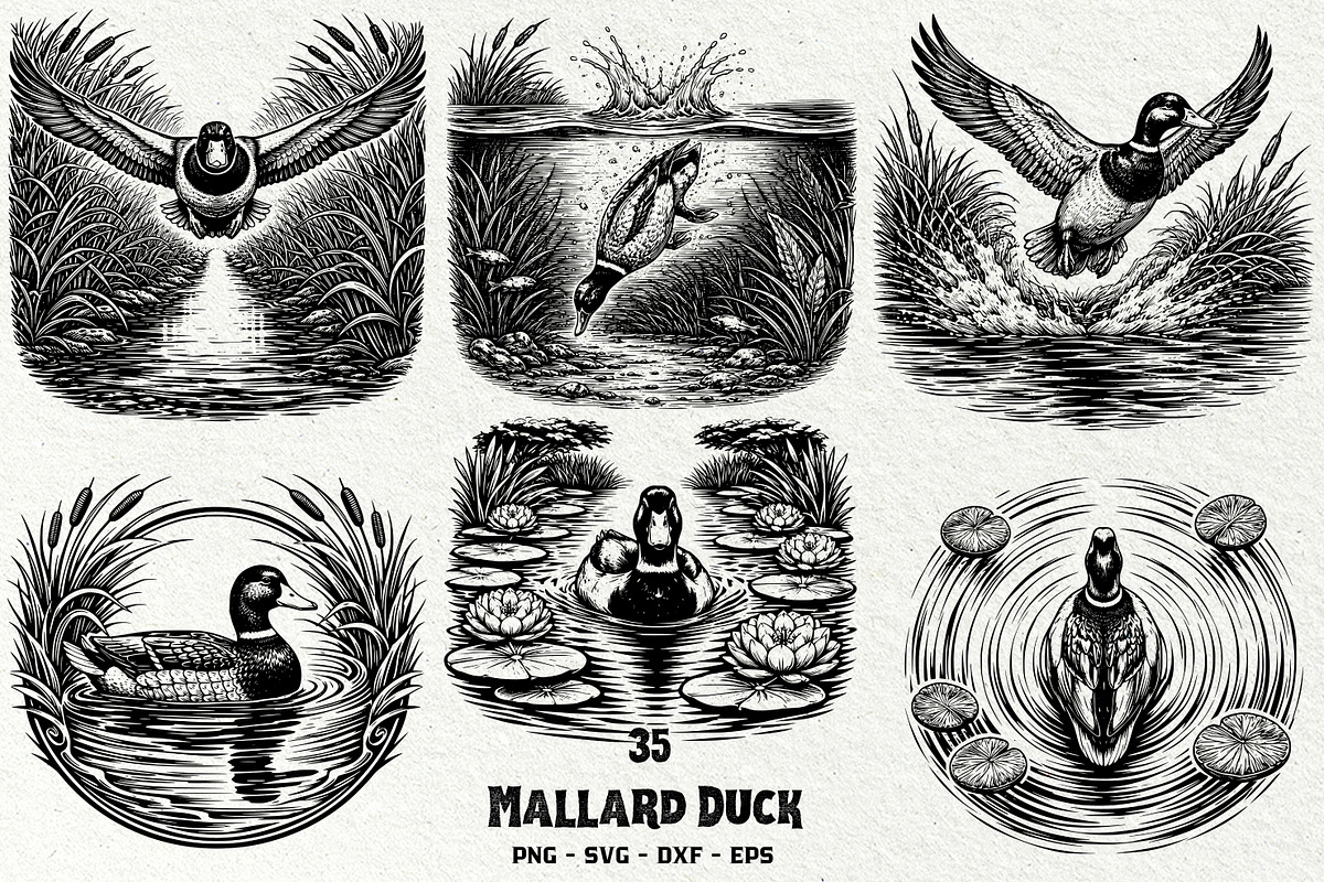 Mallard Duck SVG Graphics Bundle, an Animal Illustration by DENIDigitalArtSudio (Photo 1 of 5)