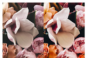 Kodak Gold 100 Lightroom Presets, an Action Add-On by Daily Studio (Thumbnail 3 of 10)