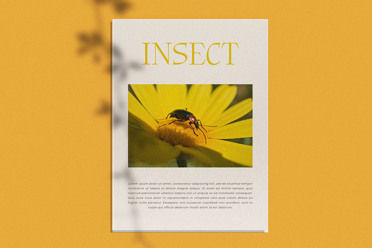 Bligra – Modern Serif Typeface, a Serif Font by BrandSemut (Photo 8 of 13)