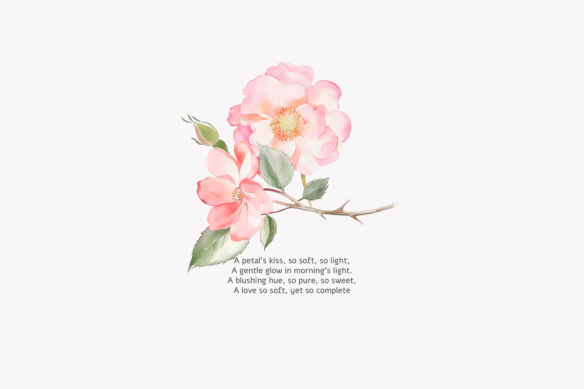 Watercolor June Flower Clipart Set, a Decorative Illustration by Patishop Art (Photo 10 of 10)