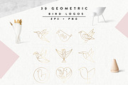 Geometric Bird Logos EPS & PNG, an Outline Icon by Pixejoo (Thumbnail 8 of 8)