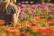 Loviena Rose - Stylish Serif, a Serif Font by CCS Type (Thumbnail 20 of 25)