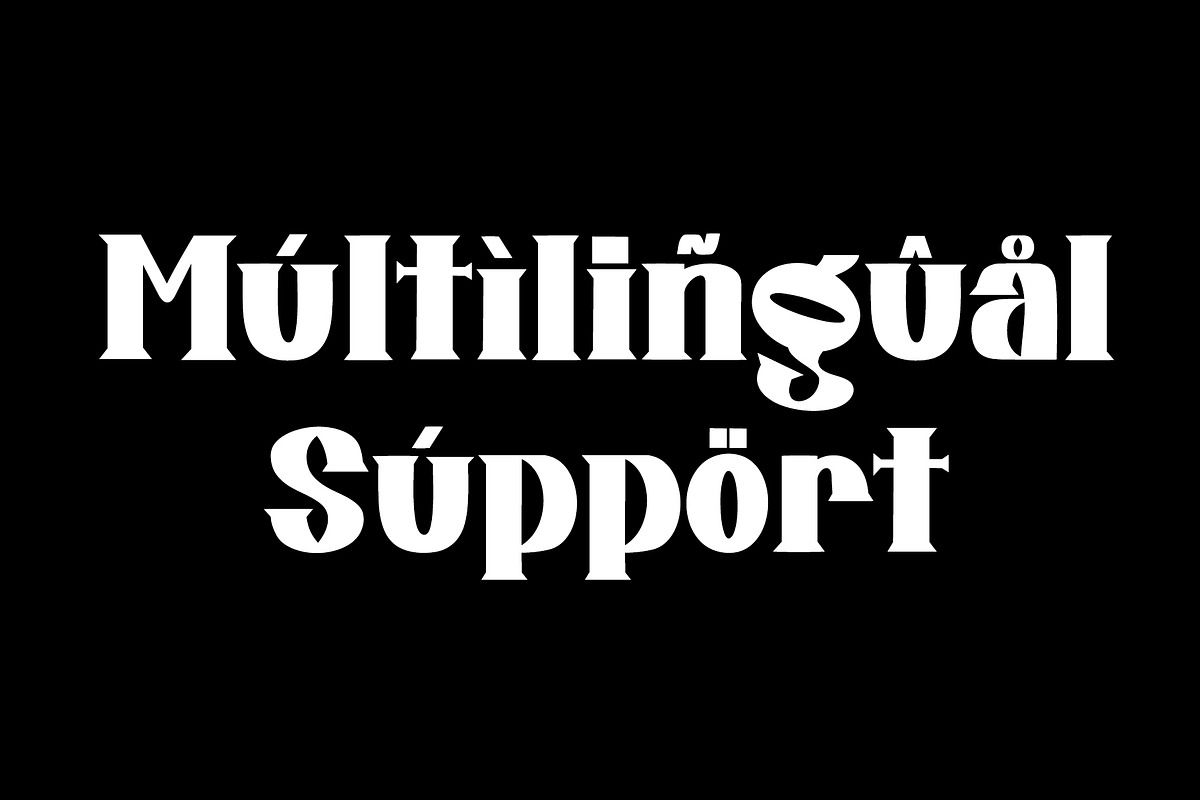 Antigo, a Serif Font by Letterafa Studio (Photo 7 of 7)