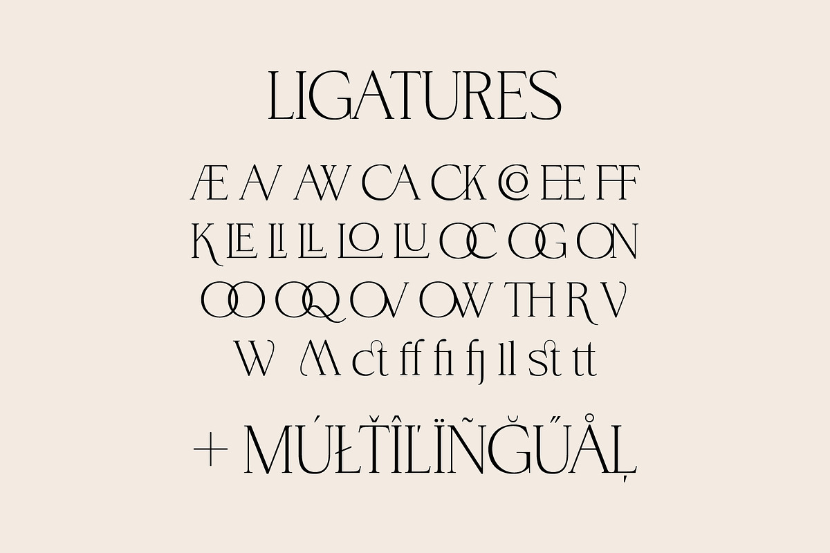 BrandNew – Luxury Serif Family, a Serif Font by BilberryCreates (Photo 16 of 16)