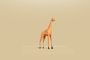 Low Poly Forest Animals Pack 1, an Animal 3D Model by Anton Moek (Thumbnail 5 of 12)