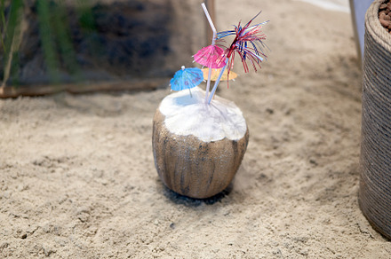 Coconut coctail standing sand sea beach, a Food & Drink Photo by andreonegin market