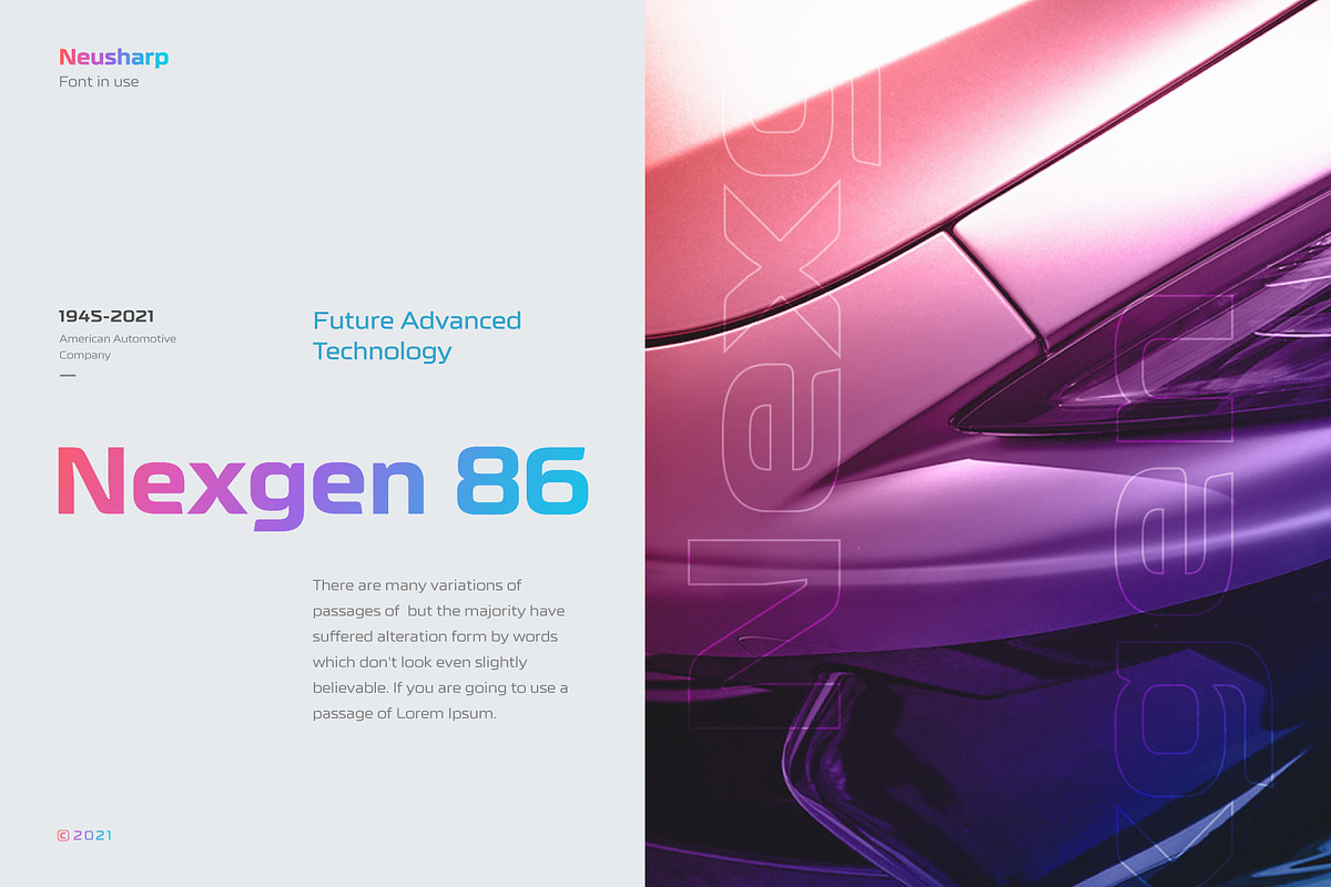 Neusharp Complete Family, a Sans Serif Font by Digitype Studio (Photo 4 of 12)