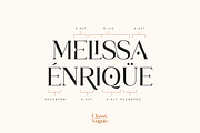 Classy Vogue - Stylish Serif, a Serif Font by Variatype (Thumbnail 10 of 16)