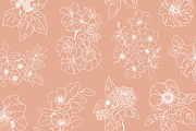 Flower Garden Vector Illustrations, a Decorative Illustration by Emma Webb Studio (Thumbnail 6 of 8)