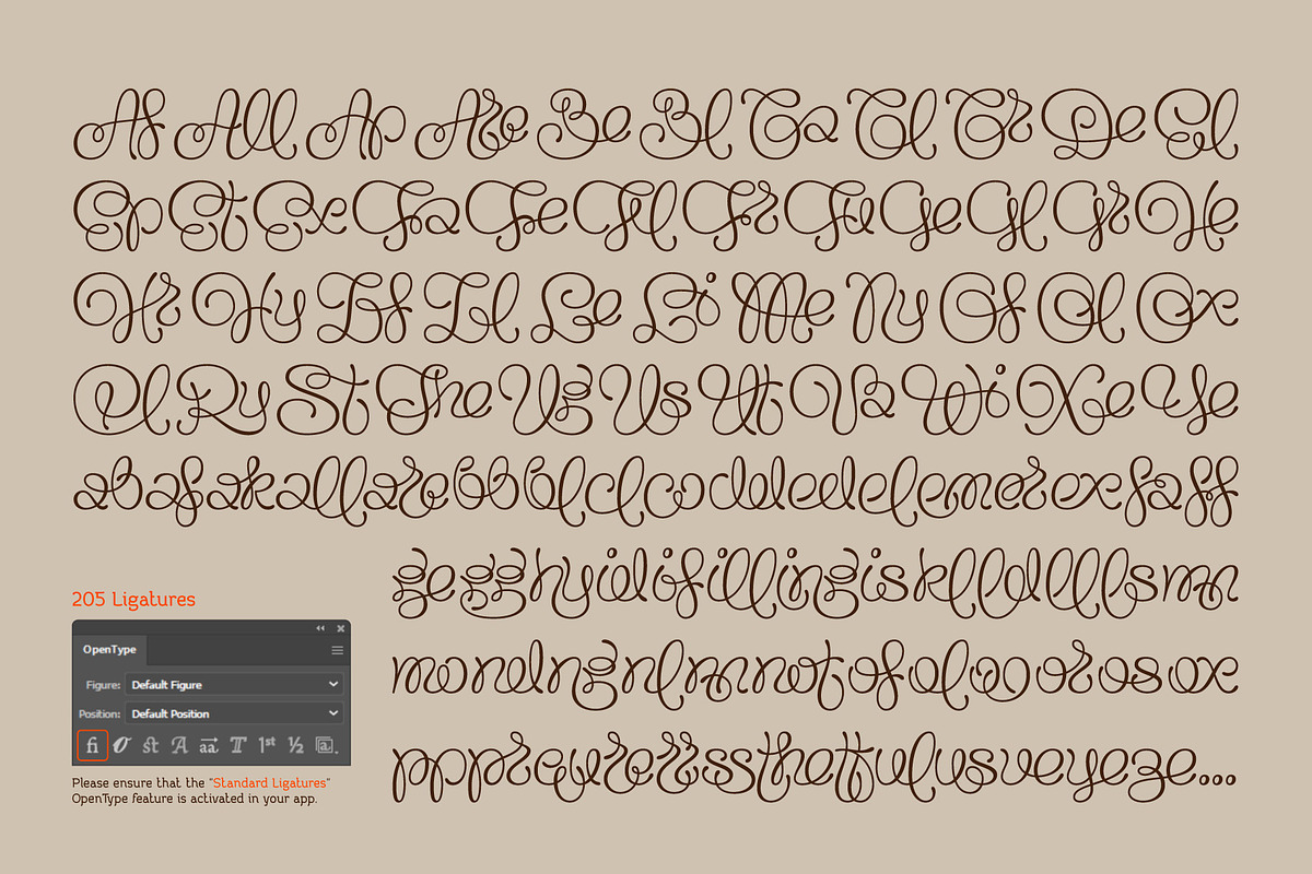 Flourel, a Script Font by Gleb Guralnyk (Photo 11 of 11)