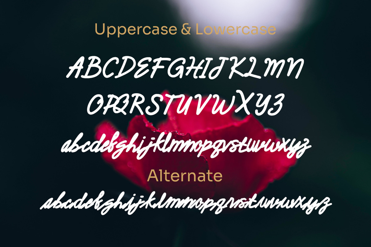 Bagitto Herros- Handwritten Font, a Handwritten Font by Dhabee (Photo 3 of 8)