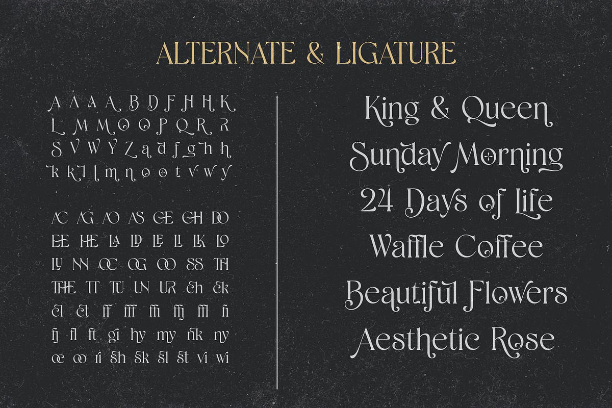 Shaena - Beautiful Serif, a Serif Font by Asenbayu (Photo 12 of 14)