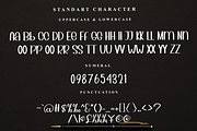 Special Bundle, a Sans Serif Font by FreshTypeINK (Thumbnail 2 of 7)