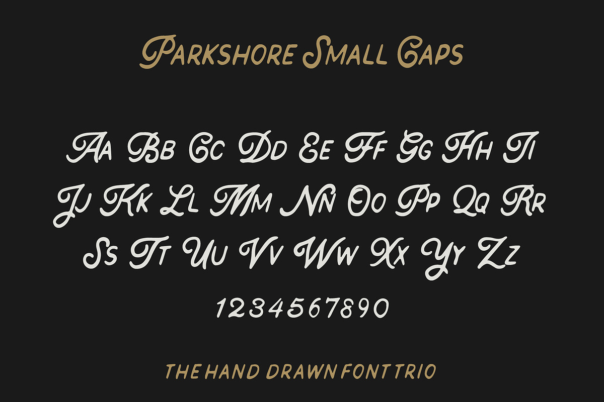 The Parkshore Font Collection, a Script Font by Hustle Supply Co. (Photo 9 of 11)
