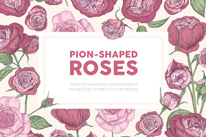 Peony-shaped roses set, cards, a Decorative Illustration by Good Studio