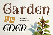CS Amoret Drawn, a Serif Font by Craft Supply Co. (Thumbnail 7 of 8)