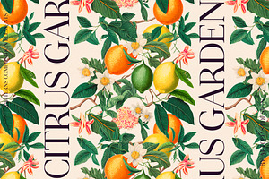 Citrus Garden Floral Set & Poster