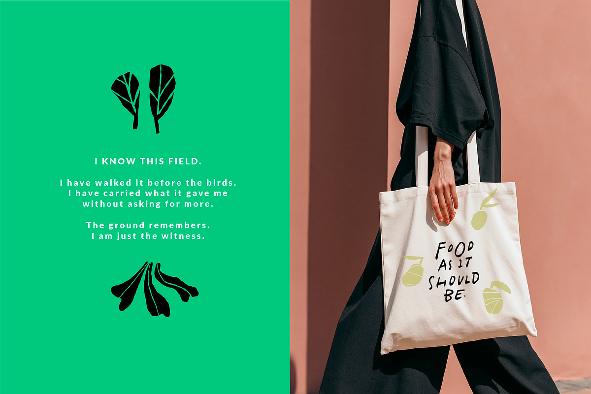FARMERS MARKET | HAND DRAWN SHAPES, a Food Illustration by Favete Art (Photo 23 of 23)