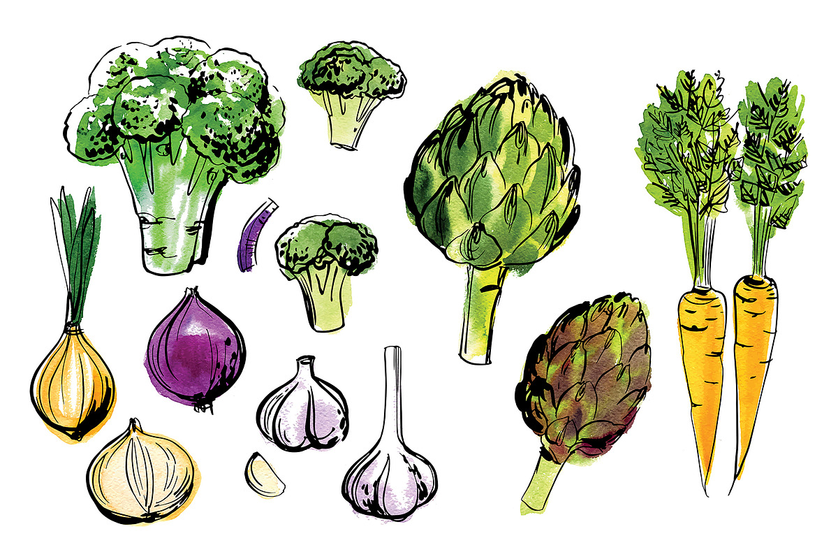 Vegetables vector sketch watercolor, a Food Illustration by irina.vaneeva (Photo 9 of 18)