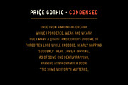Price Gothic Font Family, a Sans Serif Font by Price Foundry (Thumbnail 9 of 10)