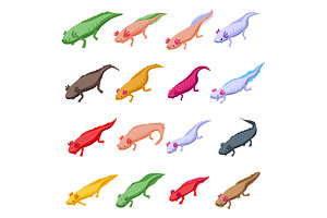 Axolotl Icons Set, Isometric Style