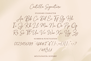 Castilla Signature Handwritten Font, a Handwritten Font by Pixesia Studio (Thumbnail 9 of 10)