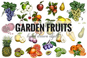 Garden Fruits, vector collection, a Food Illustration by JSolomatina (Thumbnail 2 of 6)