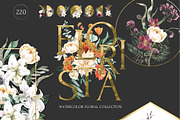 FLORISTA Huge Floral Collection, an Illustration by Cat In Colour (Thumbnail 1 of 14)