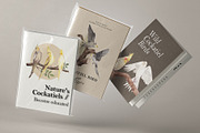 Cockatiel Birds Watercolor, an Animal Illustration by CreativeValuation (Thumbnail 14 of 15)