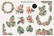 Watercolor Safari Baby Animals, an Animal Illustration by Elena Dorosh (Thumbnail 6 of 7)