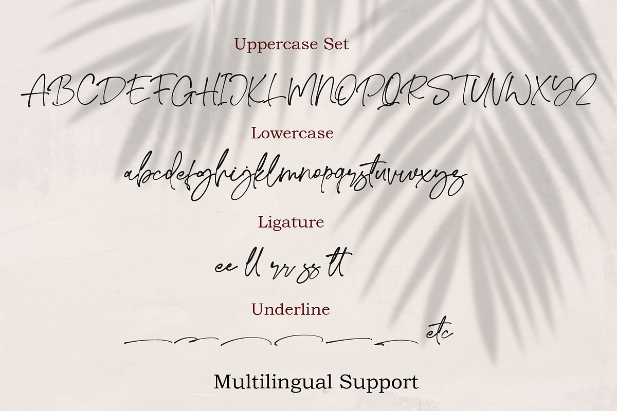 Sidneyland, a Script Font by Ibrahima_Studio (Photo 12 of 13)