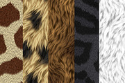 Animal fur textures 2, a Texture Graphic by dotstudio (Thumbnail 2 of 14)