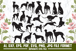 Greyhound Dog,greyhound,dog,animal