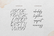 Amatullah Mahiya | Chic Calligraphy, a Handwritten Font by Denustudios (Thumbnail 10 of 13)